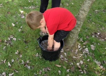 Forest School (5)